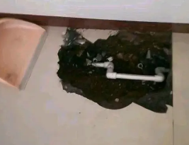 唐河卫生间测漏水多少钱